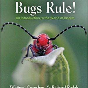 Bugs Rule!: An Introduction to the World of Insects - eBook