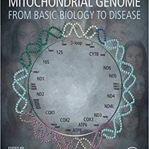 The Human Mitochondrial Genome: From Basic Biology to Disease - eBook