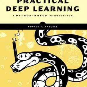 Practical Deep Learning: A Python-Based Introduction - eBook