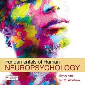 Fundamentals of Human Neuropsychology (8th Edition) - eBook