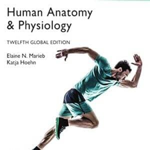 Human Anatomy and Physiology (12th Edition-Global) - eBook