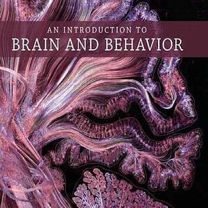 An Introduction to Brain and Behavior (6th Edition) - eBook