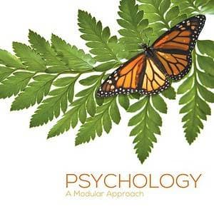 Psychology: A Modular Approach - eBook