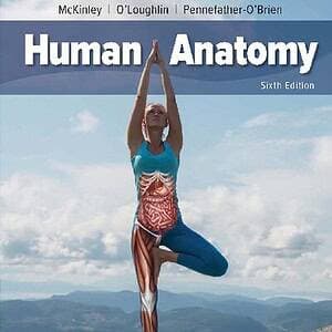 ISE Human Anatomy (6th Edition) - eBook