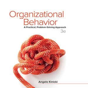 Organizational Behavior: A Practical, Problem-Solving Approach (3rd Edition) - eBook
