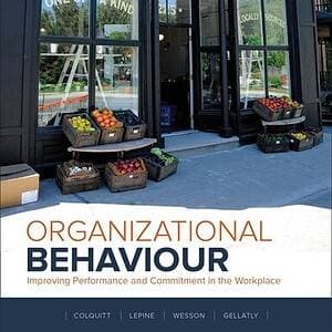 Organizational Behaviour: Improving Performance And Commitment In The Workplace (5th Edition) - eBook