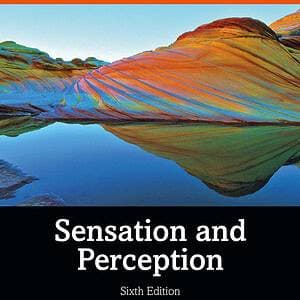 Sensation and Perception (6th Edition) - eBook