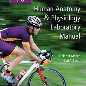 Human Anatomy and Physiology Laboratory Manual, Fetal Pig Version (13th Edition) - eBook