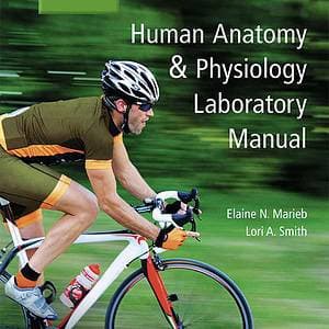 Human Anatomy and Physiology Laboratory Manual, Main Version (12th Edition) - eBook