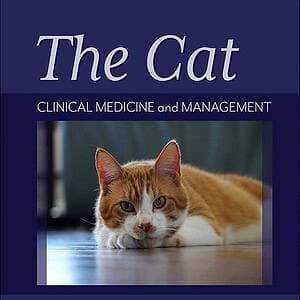 The Cat: Clinical Medicine and Management (2nd Edition) - eBook