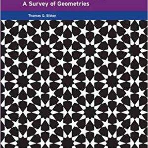 Thinking Geometrically: A Survey of Geometries - eBook