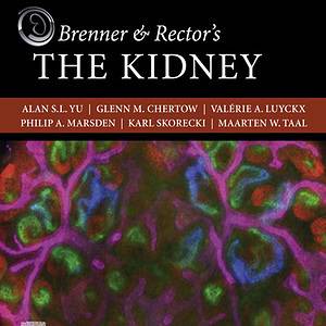 Brenner and Rector's The Kidney (11th Edition) - eBook