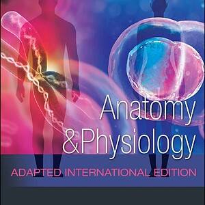 Anatomy and Physiology (Adapted International Edition) - eBook
