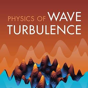 Physics of Wave Turbulence - eBook